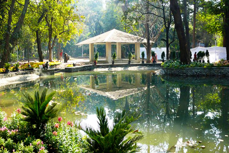 Lotus Ponds & Serene Greenery: Turn Your Phone Off & Chill Out At ...