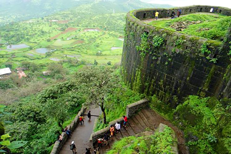 Hill station,Vegetation,Natural landscape,Nature reserve,Landscape,Tourism,Rainforest,Geological phenomenon,Plant,Tourist attraction