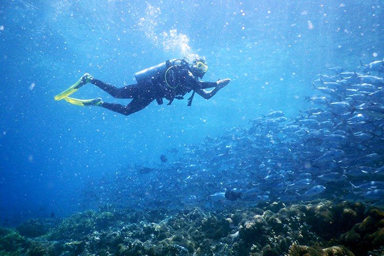 Underwater,Scuba diving,Water,Underwater diving,Snorkeling,Recreation,Diving equipment,Dry suit,Marine biology,Organism
