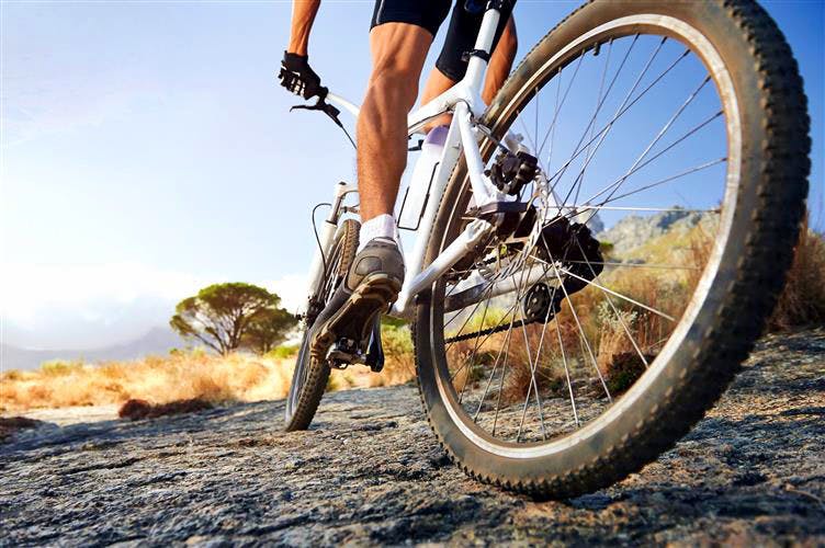 Bicycle,Cycling,Vehicle,Bicycle wheel,Bicycle tire,Cycle sport,Mountain bike,Bicycle pedal,Hybrid bicycle,Mountain bike racing