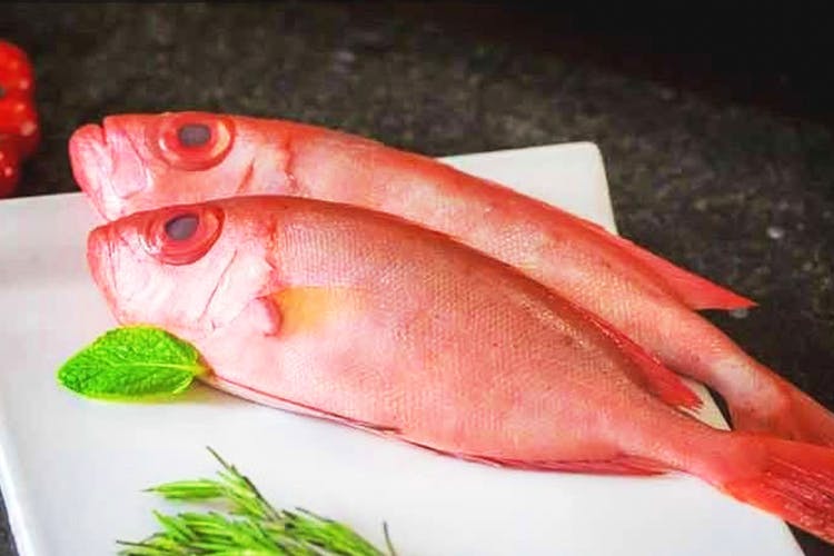 Fish,Red snapper,Fish,Fish products,Seafood,Fish slice,Food,Snapper,Oily fish,Dish