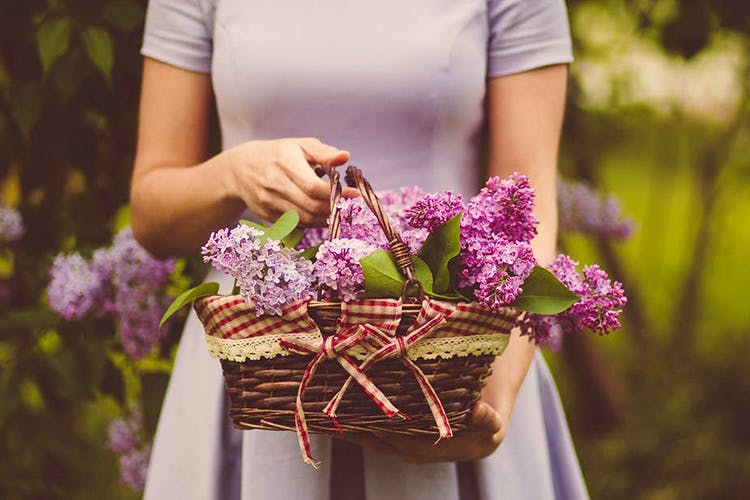 Flower,Floristry,Flower Arranging,Floral design,Bouquet,Purple,Lilac,Lavender,Plant,Lilac