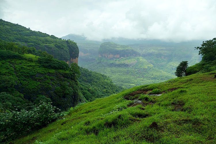 Highland,Mountainous landforms,Hill station,Mountain,Vegetation,Nature,Natural landscape,Hill,Valley,Wilderness