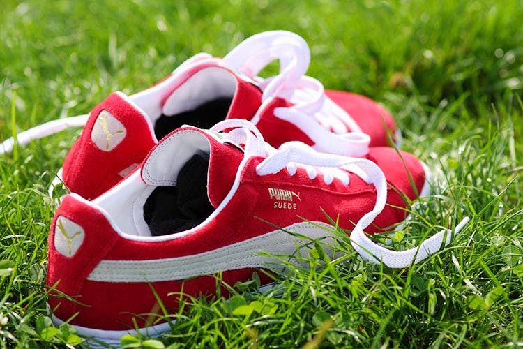 Footwear,Red,White,Grass,Shoe,Carmine,Green,Sneakers,Athletic shoe,Plant