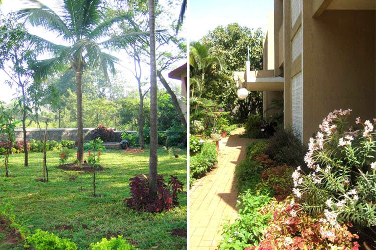 Property,Vegetation,Real estate,Yard,House,Home,Backyard,Tree,Resort,Garden