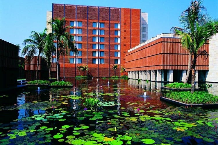 Water,Reflection,Vegetation,Architecture,Building,Botany,Tree,Reflecting pool,Urban area,Pond