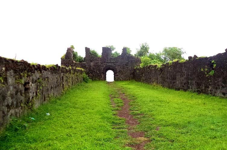 Ruins,Grass,Wall,Fortification,Tree,Building,Historic site,Plant,Shrub,Castle