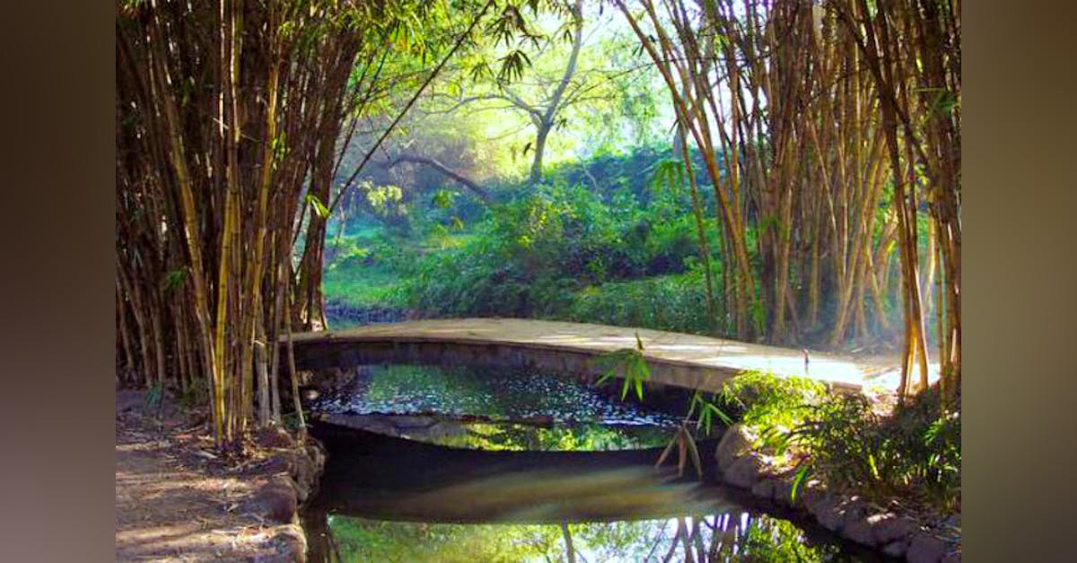 Osho Ashram Lbb Pune