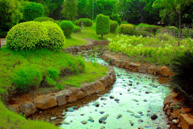 Natural landscape,Nature,Vegetation,Water resources,Watercourse,Green,Nature reserve,Garden,Botanical garden,Stream