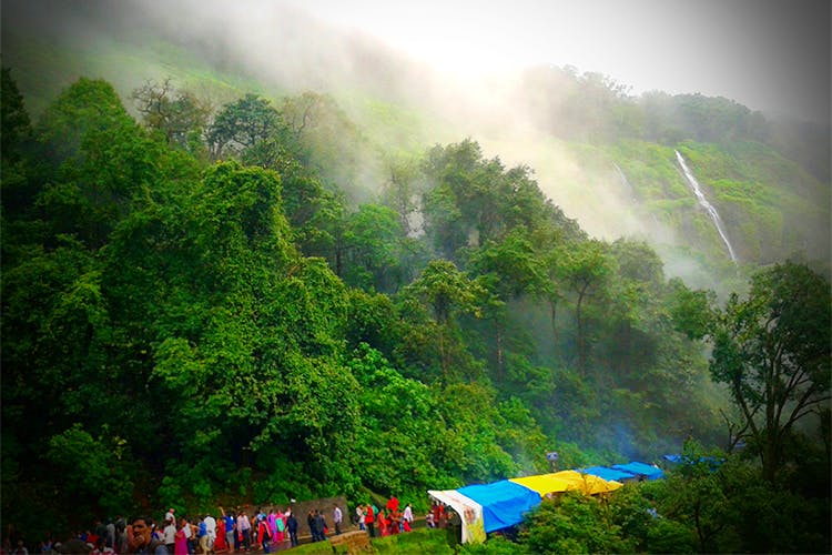 Nature,Hill station,Vegetation,Atmospheric phenomenon,Natural landscape,Nature reserve,Natural environment,Forest,Jungle,Highland