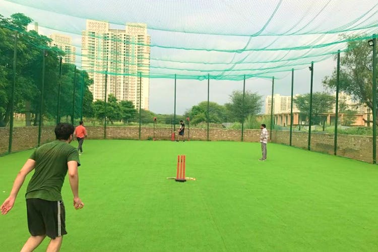 Net,Grass,Sport venue,Sports,Player,Team sport,Sports equipment,Play,Leisure,Sports training