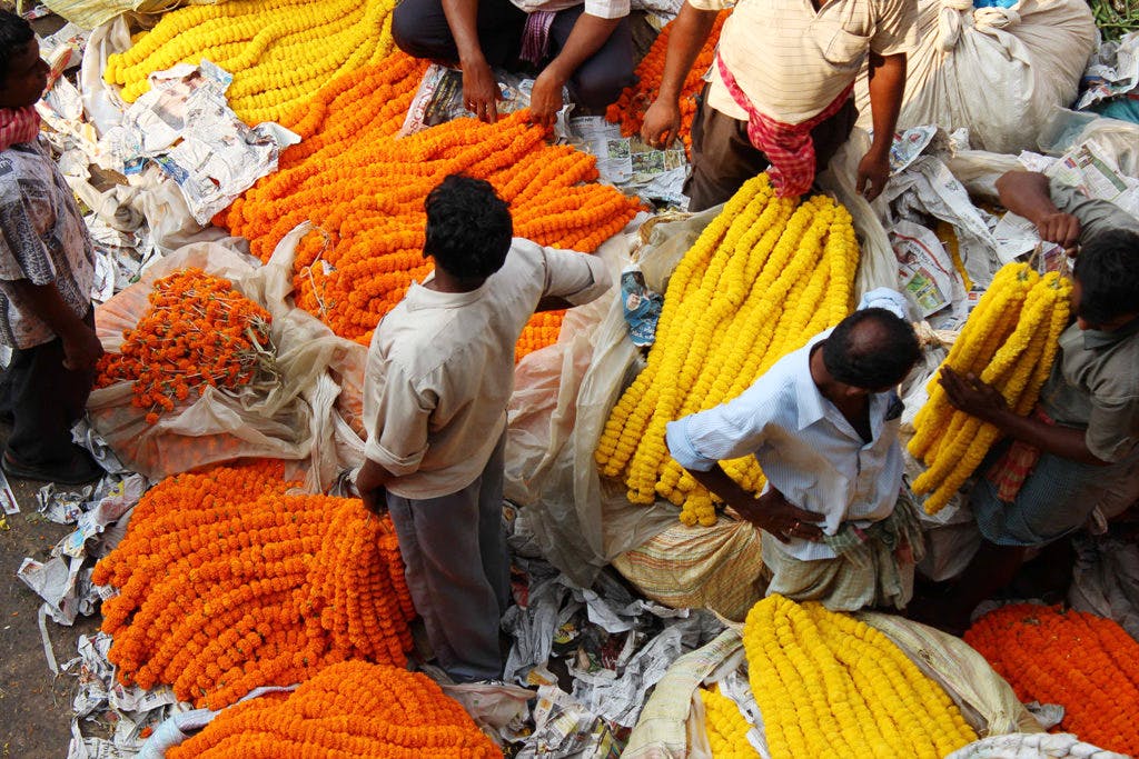 Top 7 Flower Markets In Hyderabad To Visit LBB, Hyderabad