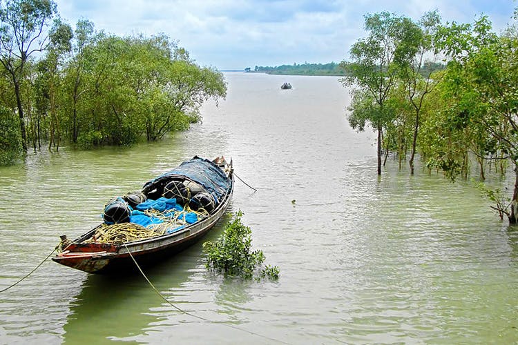 Water transportation,River,Waterway,Water,Water resources,Vehicle,Boat,Bank,Tree,Mode of transport