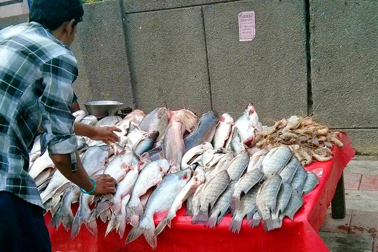 Fish products,Fish,Fish,Fishmonger,Butcher,Salted fish,Meat