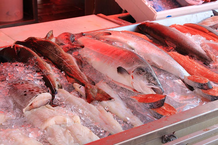 Fish,Fish products,Fish,Seafood,Food,Red snapper,Flesh,Frozen food,Dish,Red meat