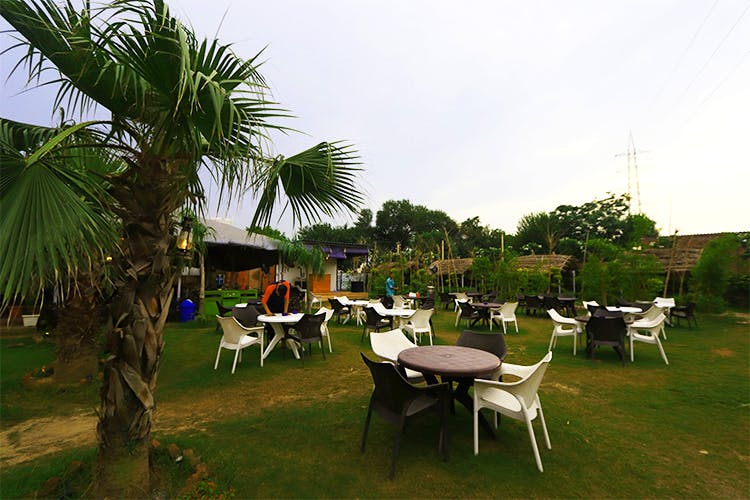 Resort,Palm tree,Arecales,Tree,Grass,Leisure,Table,Furniture,Landscape,Backyard