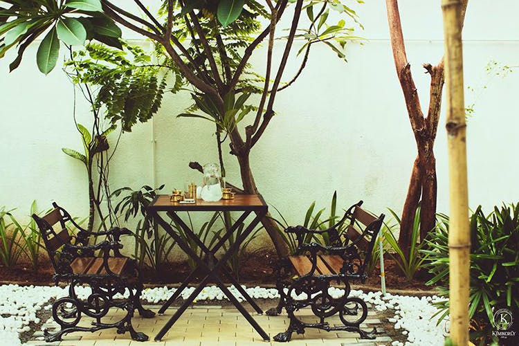 Tree,Table,Furniture,Botany,Branch,Outdoor furniture,Plant,Adaptation,Room,House