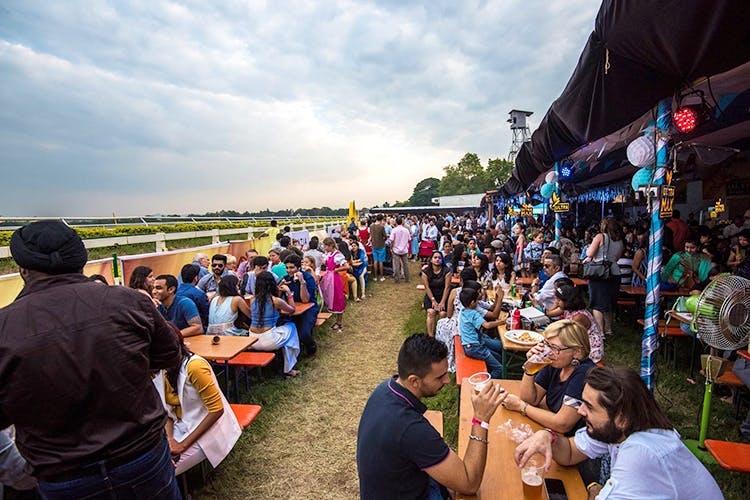 Crowd,People,Community,Event,Tourism,Audience,Leisure,Festival,Grass,Tree