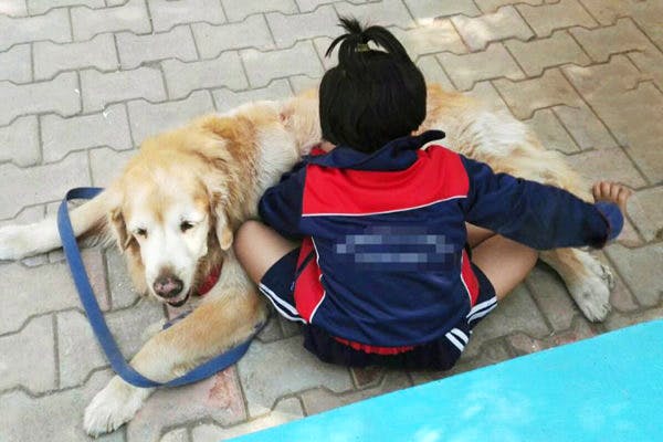 Animal Angels Foundation treats gifted children with pet therapy | LBB