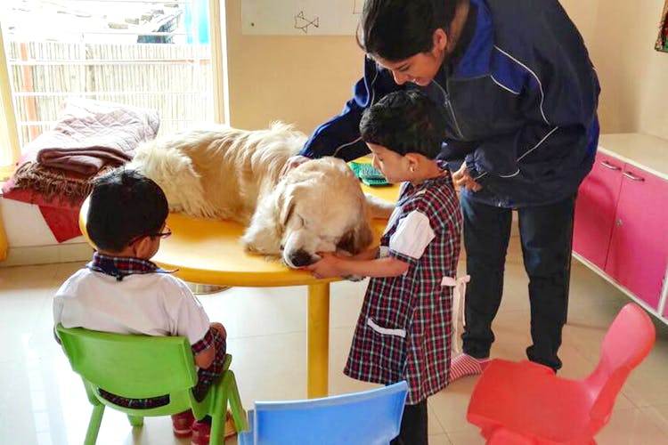 Animal Angels Foundation treats gifted children with pet therapy | LBB