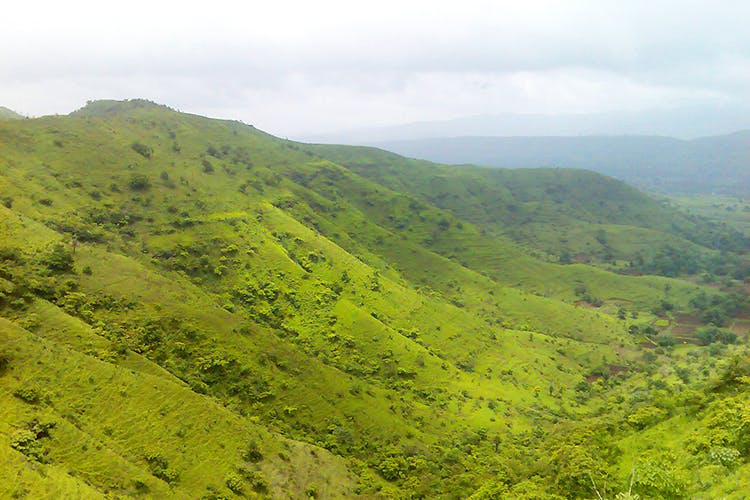 Highland,Mountainous landforms,Hill station,Vegetation,Mountain,Hill,Green,Nature reserve,Natural landscape,Grassland