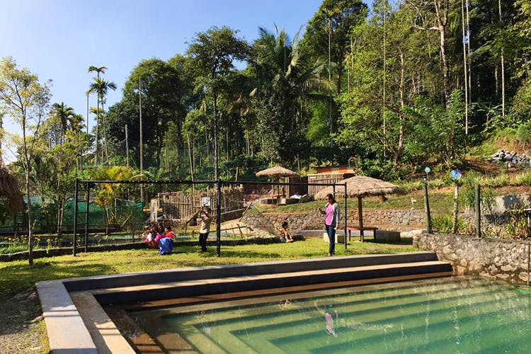 Swimming pool,Leisure,Botany,Botanical garden,Tree,Building,Architecture,Landscape,Resort,Garden