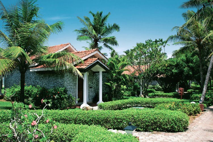 Vegetation,Property,House,Home,Tree,Botany,Building,Palm tree,Real estate,Tropics
