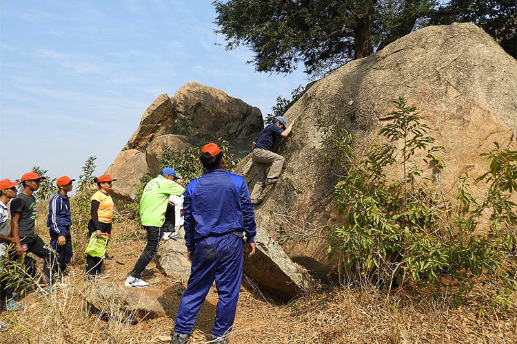 Rock,Geological phenomenon,Outcrop,Geology,Tree,Soil,Bedrock,Adaptation,Formation,Landscape