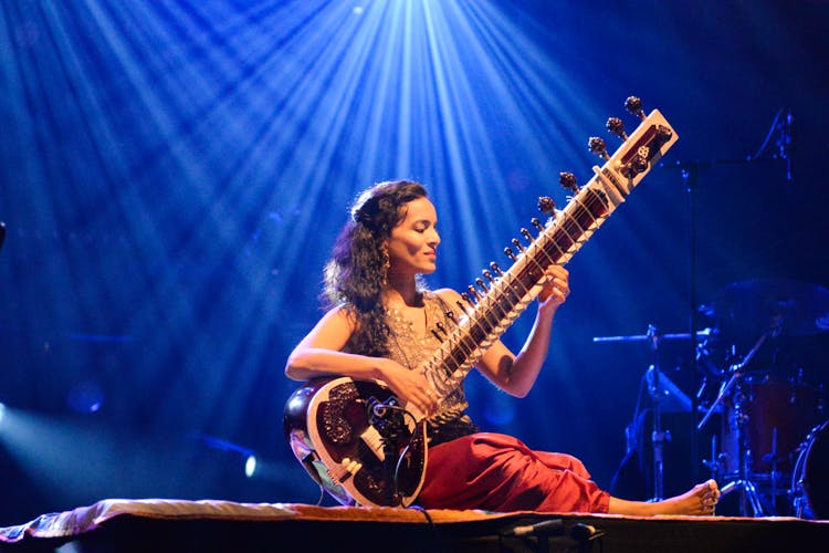 String instrument,Music,Musical instrument,Performance,Sitar,Musician,String instrument,Entertainment,Plucked string instruments,Music artist