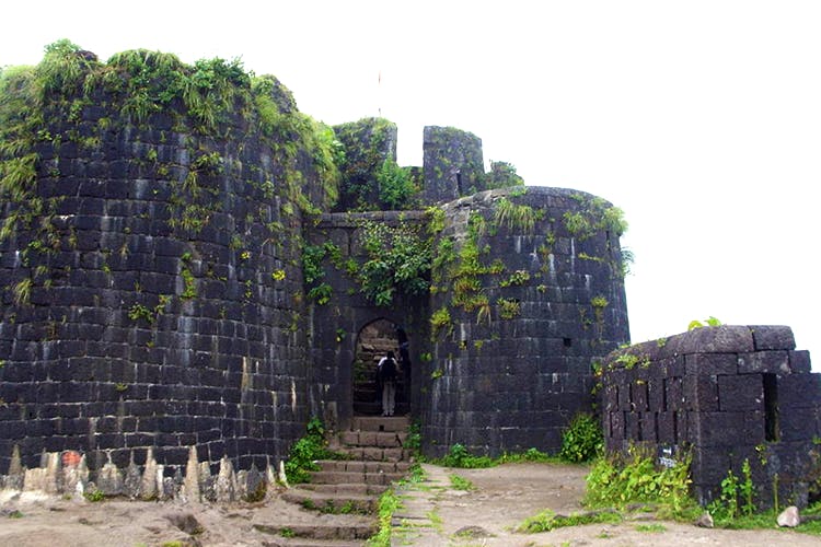 Ruins,Wall,Historic site,Fortification,Building,Ancient history,Archaeological site,Grass,History,Tree