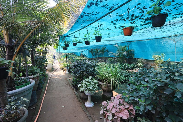 Turquoise,Botany,Real estate,House,Building,Plant,Tourism,Garden,Vacation,Botanical garden