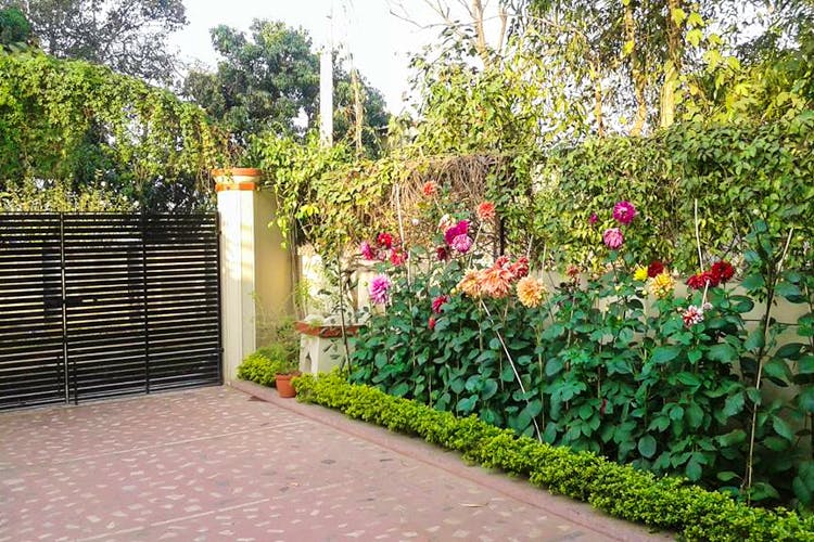 Garden,Vegetation,Property,Flower,Shrub,Plant,Wall,Botany,Walkway,Fence