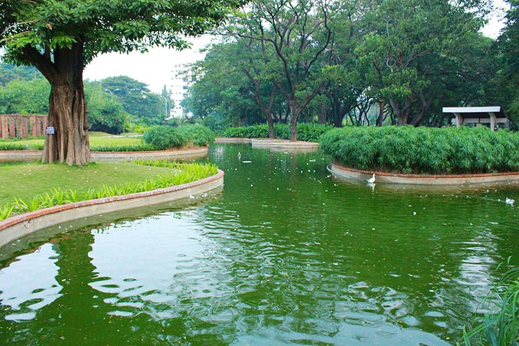 Body of water,Natural landscape,Water,Nature,Waterway,Water resources,Green,Canal,Bank,Vegetation