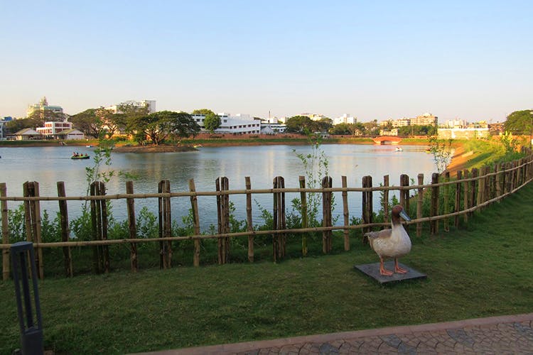 Head To Chetpet Eco Park | LBB, Chennai