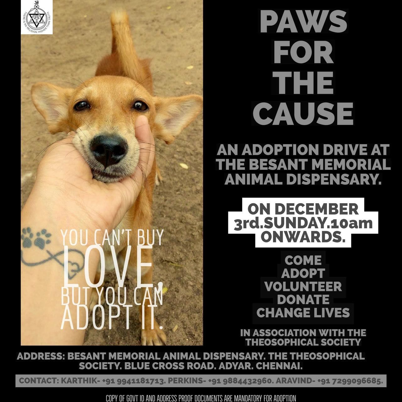 Adoption Drive - Paws For A Cause | LBB