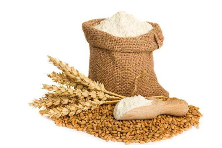 Footwear,Grass family,Powder,Plant,Shoe,Food,Flour,Wheat flour