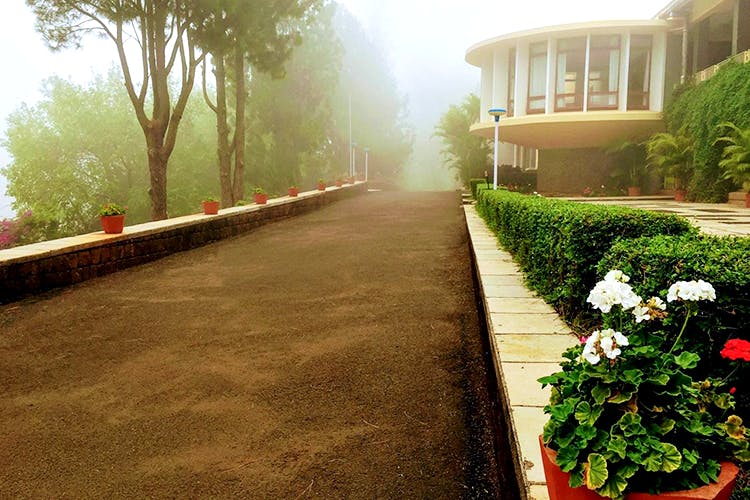 Atmospheric phenomenon,Walkway,Morning,Tree,Road surface,Landscape,Plant,Home,Asphalt,Real estate