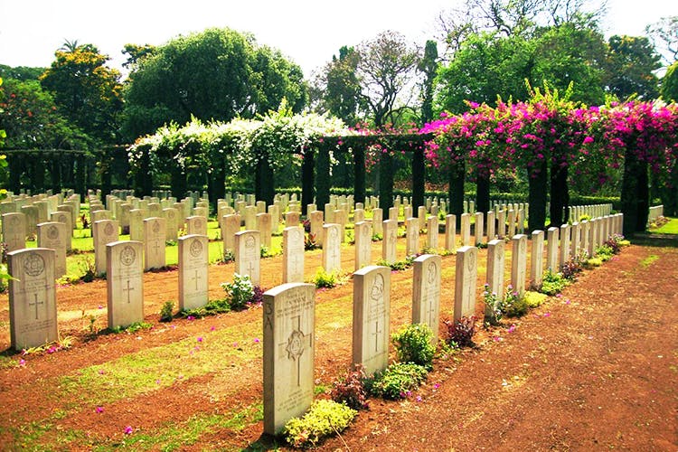 Cemetery,Grave,Plant,Flower,Headstone,Garden,Shrub,Tree,Fence,Perennial plant
