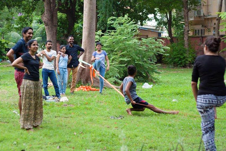 Community,Tree,Grass,Fun,Adaptation,Recreation,Plant,Leisure,Games