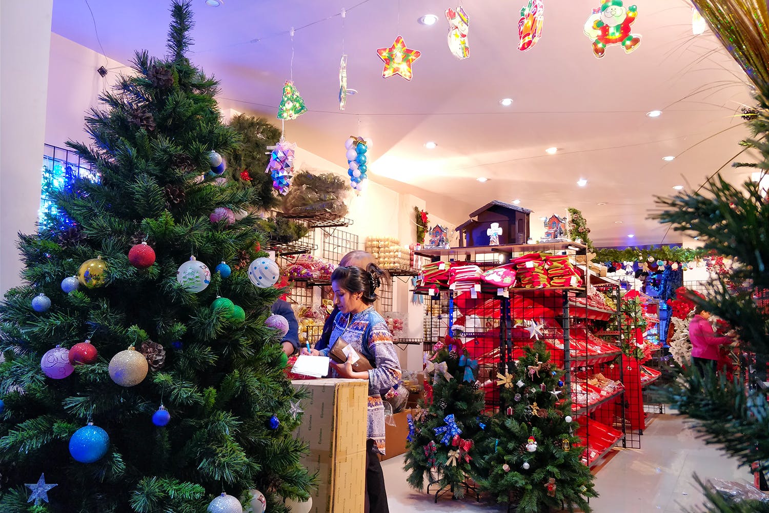 Christmas tree,Christmas,Christmas ornament,Christmas decoration,Tree,Christmas eve,Sky,Tradition,Architecture,Fir