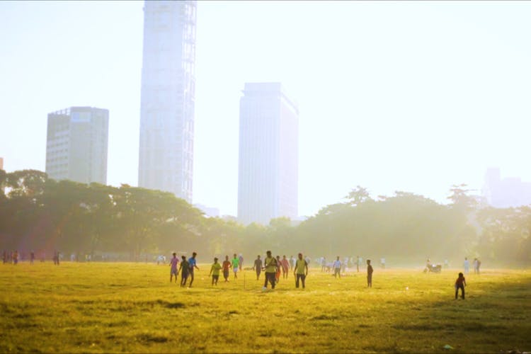 Atmospheric phenomenon,Sky,Haze,Atmosphere,Grass,City,Metropolitan area,Skyline,Tree,Grassland