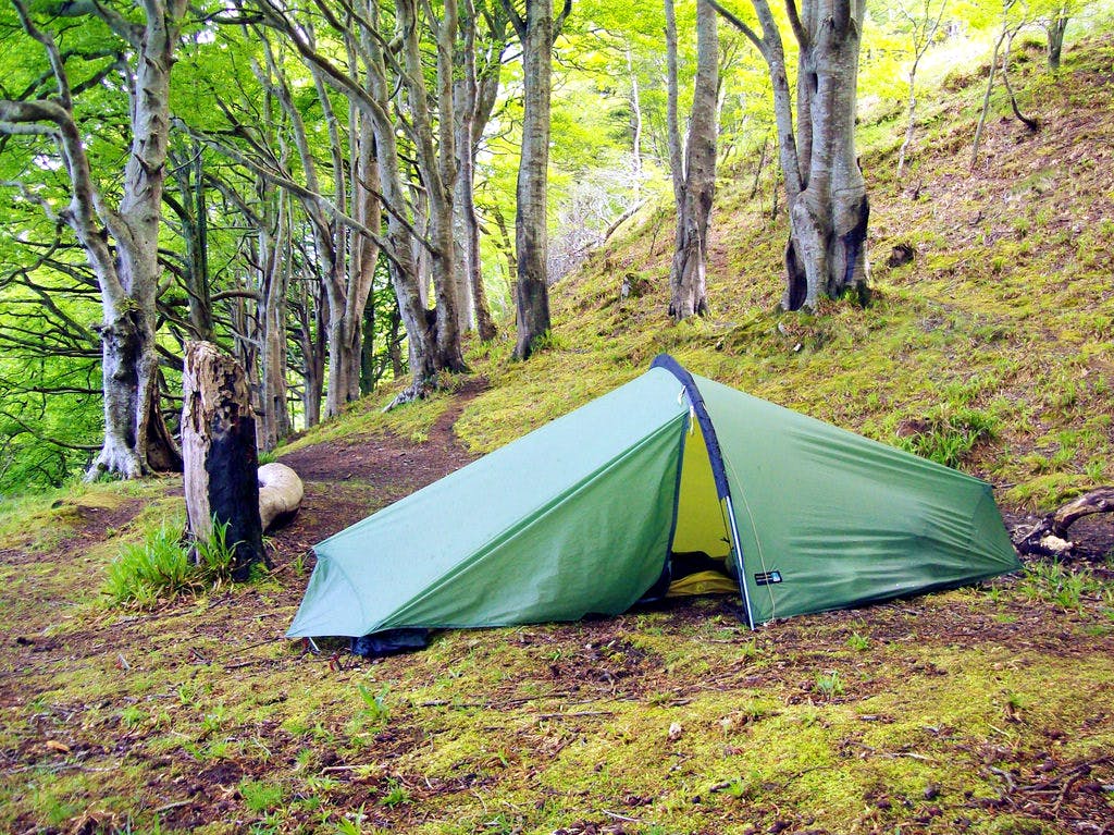 Tent,Leaf,Camping,Woodland,Green,Tarpaulin,Nature reserve,Jungle,Wilderness,Natural environment