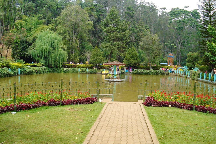 Garden,Botanical garden,Water,Vegetation,Pond,Botany,Tree,Nature reserve,Hill station,Lake