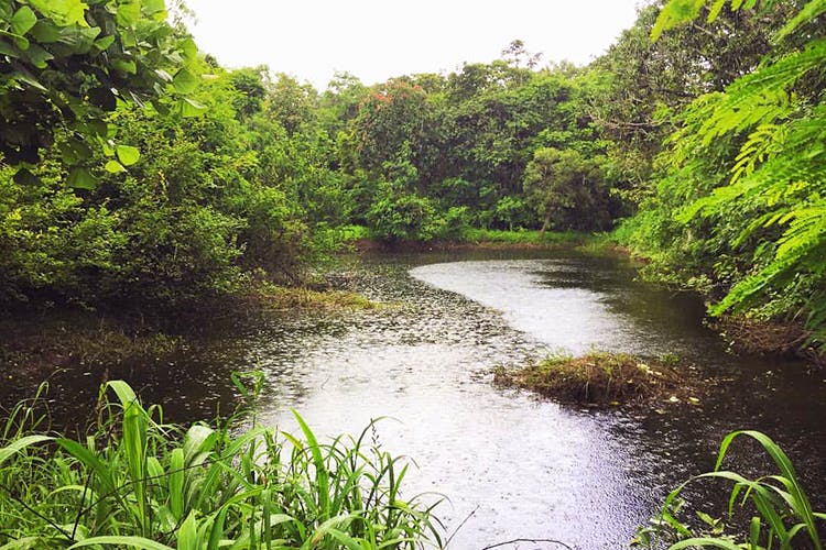 Go Hiking To Narsapur Forest Lbb Hyderabad