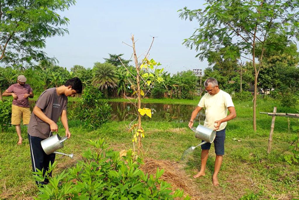Want To Grow Your Own Garden Or Have An Organic Farm? Dig Deep With
