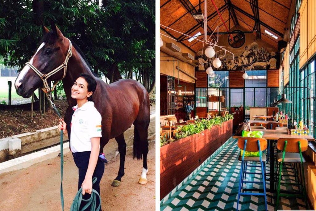 Horse,Tree,Stable,Bridle,Mare,Horse supplies,Mane,Landscape,Sorrel,Recreation