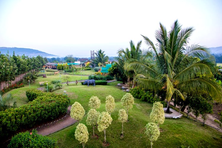 Vegetation,Garden,Property,Tree,Resort,Palm tree,Botany,Botanical garden,Grass,Real estate
