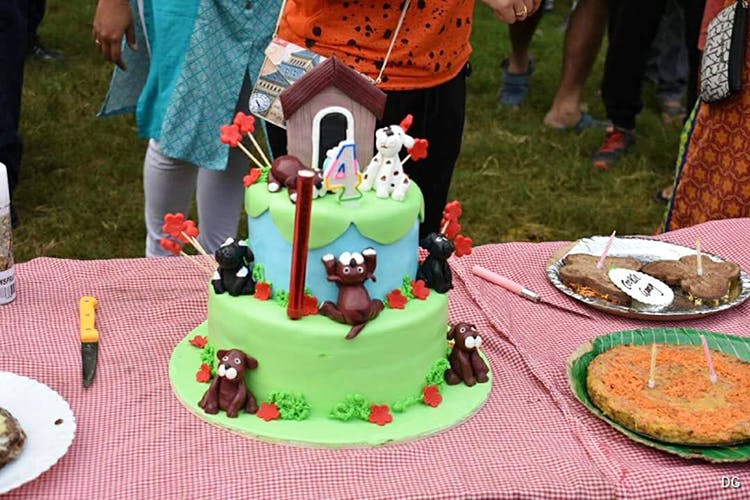 Discover 124+ necklace road dog park super hot songngunhatanh.edu.vn