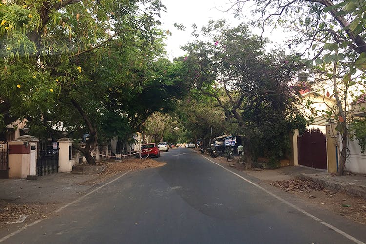 Road,Lane,Asphalt,Thoroughfare,Tree,Road surface,Neighbourhood,Town,Residential area,Street