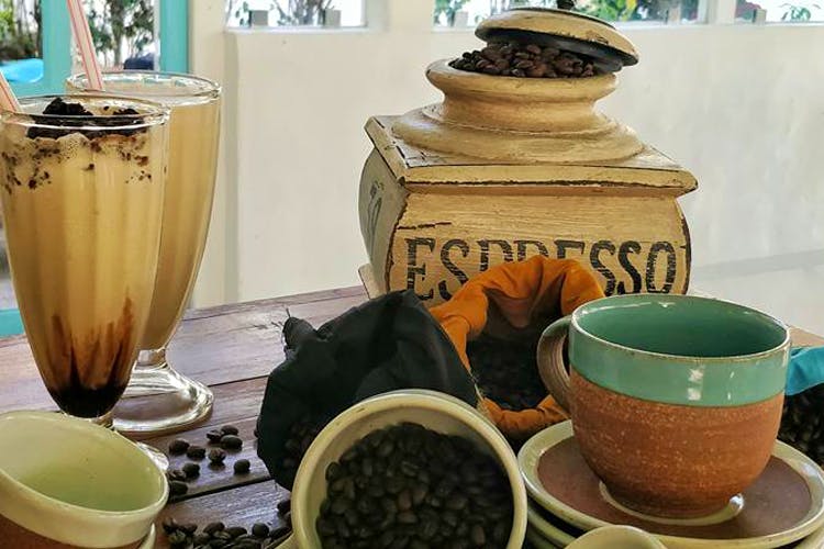 Pottery,Drink,Ceramic,earthenware,Tea,Houseplant